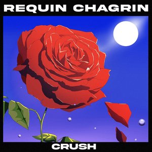 Crush (feat. Anaïs Demoustier) - Single