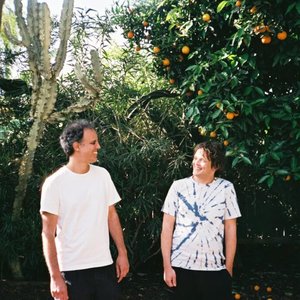 Kieran Hebden, William Tyler 的头像