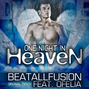 One Night In Heaven