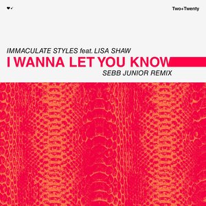 I Wanna Let You Know (Sebb Junior Remixes) [feat. Lisa Shaw] - Single