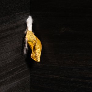 Известное - EP