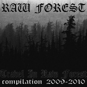Avatar for Raw Forest