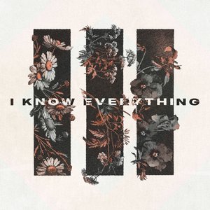I Know Everything - Single