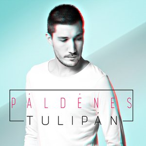 Tulipán