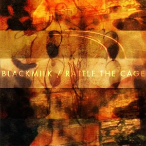Rattle the Cage