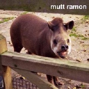 Utterly Mutterly