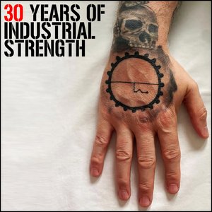 Immagine per '30 Years Of Industrial Strength'