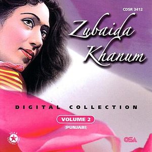 Digital Collection Volume 2 (punjabi)