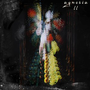 Agnosia II