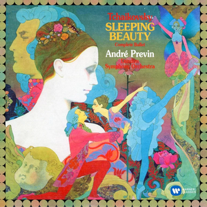 The Sleeping Beauty cover
