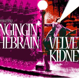 Velvet kidneys