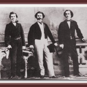 Strauss Family 的头像