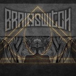 Brainswhitch 的头像