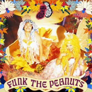 Funk The Peanuts Lyrics Song Meanings Videos Full Albums Bios Sonichits Funk The Peanuts Lyrics Song Meanings Videos Full Albums Bios Sonichits