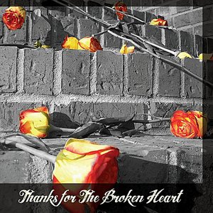 Thanks for the Broken Heart