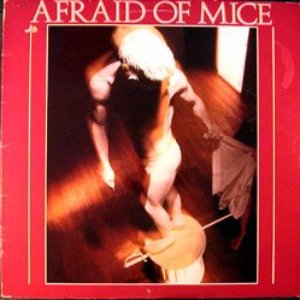 Afraid of Mice