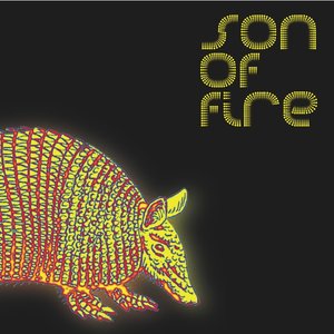 “Son Of Fire”的封面