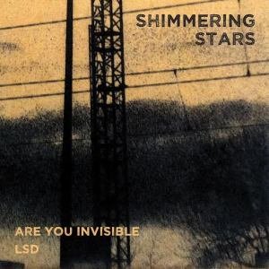 Are You Invisible / LSD