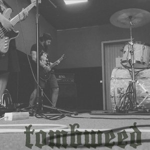 Tombweed 的头像