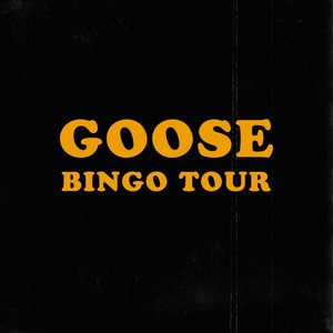 'Bingo Tour'の画像