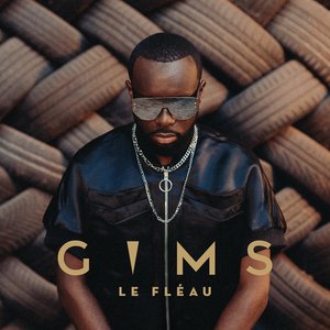 Le Fléau