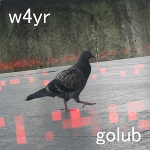 Golub