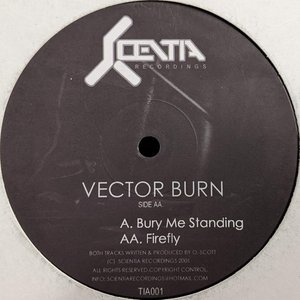 Bury Me Standing / Firefly