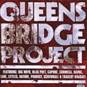 Queensbridge Project