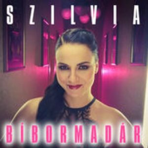 Bíbormadár - Single