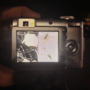 Demos