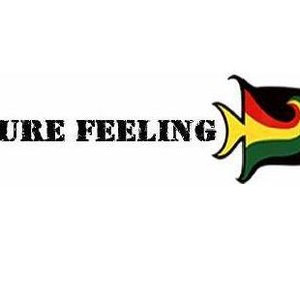 Pure Feeling 的头像