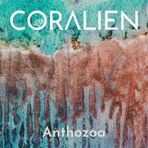 Anthozoa