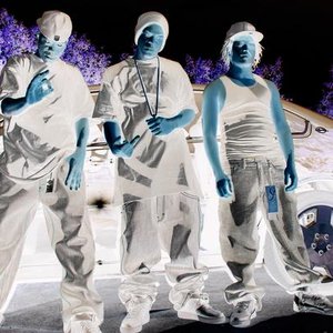 The Yunggees 的头像