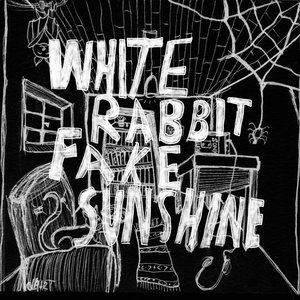 Avatar for whiterabbitfakesunshine