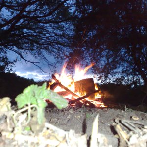 Early demos