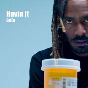 Havin It - Single