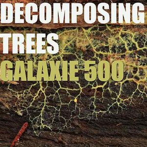 Decomposing Trees