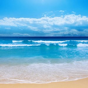Sounds of the Seas Group 的头像