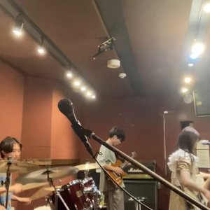 無限にうり坊が出てくる！ 的头像