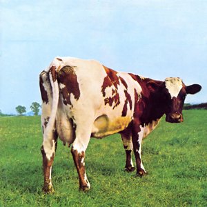 Image for 'Atom Heart Mother Suite'