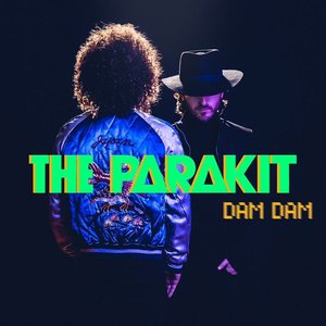 Dam Dam - Single