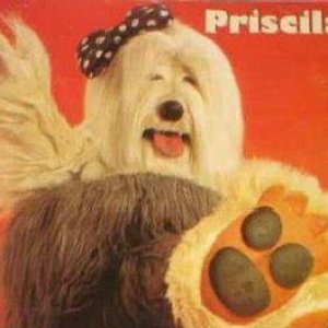 Avatar for Priscila