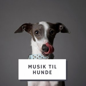 Avatar for Musik Til Hunde