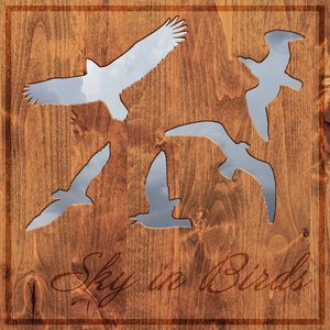 Sky in Birds