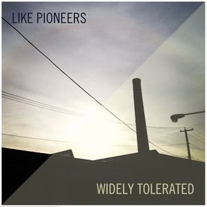 “Widely Tolerated”的封面