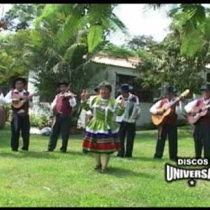 Conjunto Los Amigos Del Ande 的头像