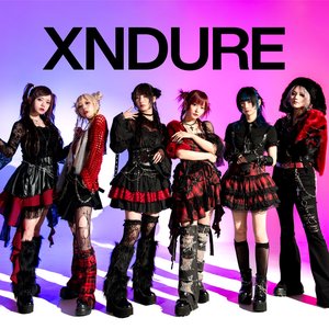 XNDURE 的头像