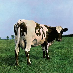 Image pour 'Atom Heart Mother (2011 Remastered Version)'