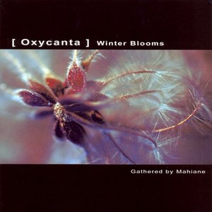 Oxycanta Winter Blooms