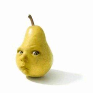 Avatar for FortChud